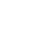 optimizer